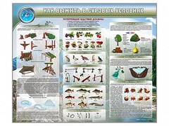 Стенд "Как выжить в суровых условиях" - fgospostavki.ru - Ивантеевка