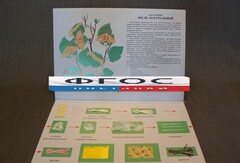 Коллекция "Шелк для начальной школы" - fgospostavki.ru - Ивантеевка