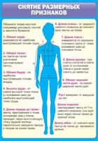 Стенд "Снятие мерок" Вариант 2 - fgospostavki.ru - Ивантеевка