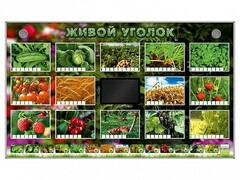Комплект оборудования "Живой уголок" (растения) - fgospostavki.ru - Ивантеевка