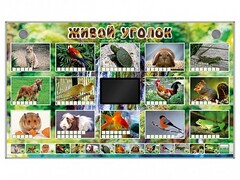 Комплект оборудования "Живой уголок" (животные) - fgospostavki.ru - Ивантеевка
