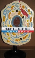 Модель "Клетка животного" - fgospostavki.ru - Ивантеевка