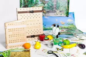 Учебно-методический набор для проектной деятельности в ДОО №1–ЕН (химия, биология, анатомия)  - fgospostavki.ru - Ивантеевка