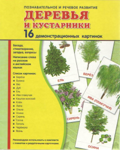 Демонстрационные карточки "Деревья и кустарники" - fgospostavki.ru - Ивантеевка
