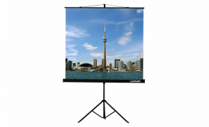 Проекционный экран на штативе Lumien Eco View (LEV-100105) 160x160 см - fgospostavki.ru - Ивантеевка