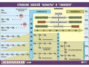 Таблица демонстрационная "Сравнение понятий изомер и гомолог" (винил 70x100) - fgospostavki.ru - Ивантеевка