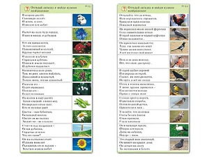 Комплект карточек (10) "Обучающий калейдоскоп. Природа" - fgospostavki.ru - Ивантеевка