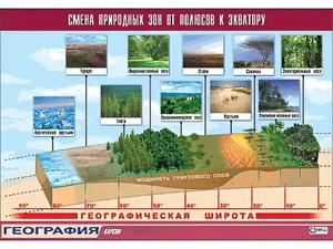 Таблица демонстрационная "Смена природных зон от полюсов к экватору" (винил 70*100) - fgospostavki.ru - Ивантеевка