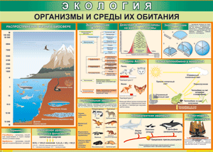 Таблица "Организмы и среды их обитания" (100х140 сантиметров, винил) - fgospostavki.ru - Ивантеевка