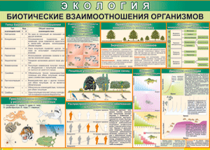 Таблица "Биотические взаимоотношения организмов" (100х140 сантиметров, винил) - fgospostavki.ru - Ивантеевка