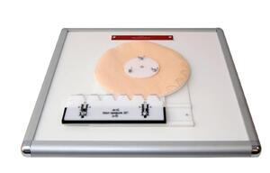 Комплекс "Изучение зубьев" - fgospostavki.ru - Ивантеевка