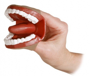 Муляж артикуляционного аппарата - fgospostavki.ru - Ивантеевка