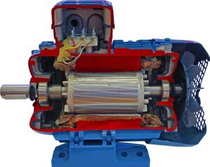 Учебная модель «Электродвигатель асинхронный в разрезе» - fgospostavki.ru - Ивантеевка