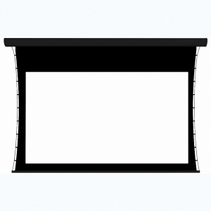 Экран настенный с электроприводом DSTPX-16915 - fgospostavki.ru - Ивантеевка