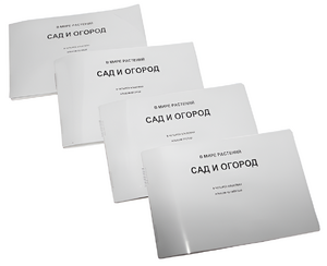 Пособие для слабовидящих - В мире растений: сад и огород - fgospostavki.ru - Ивантеевка