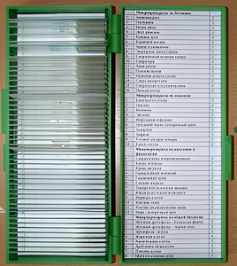 Набор микропрепаратов - fgospostavki.ru - Ивантеевка