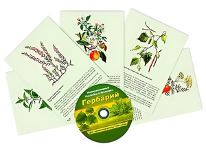 Интерактивный наглядный комплекс "Гербарий "Для начальной школы" - fgospostavki.ru - Ивантеевка
