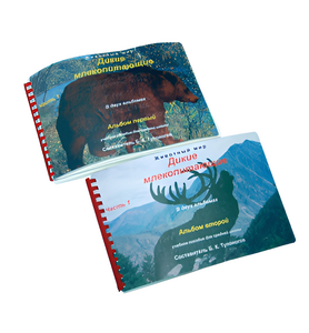 Пособие для слабовидящих - Дикие млекопитающие - fgospostavki.ru - Ивантеевка