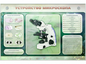 Электрифицированный стенд "Устройство микроскопа и правила работы c ним" - fgospostavki.ru - Ивантеевка