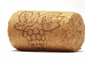 Роторасширитель Пробка - fgospostavki.ru - Ивантеевка