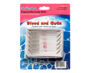 Набор микропрепаратов для микроскопа №1 «Человек» - fgospostavki.ru - Ивантеевка