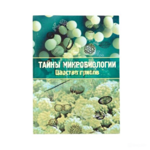 Набор «Тайны микробиологии» (Царство грибов) - fgospostavki.ru - Ивантеевка