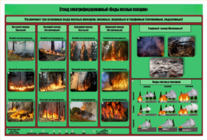 Стенд-планшет электрифицированный «Виды лесных пожаров»  - fgospostavki.ru - Ивантеевка