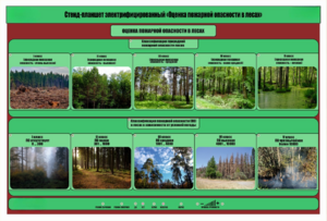 Стенд-планшет электрифицированный «Оценка пожарной опасности в лесах»  - fgospostavki.ru - Ивантеевка