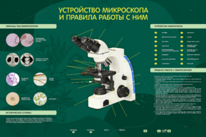 Электрифицированный стенд "Устройство микроскопа и правила работы c ним" - fgospostavki.ru - Ивантеевка
