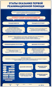 Электрифицированный стенд-тренажер "Этапы оказания первой реанимационной помощи" - fgospostavki.ru - Ивантеевка