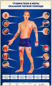 Электрифицированный стенд-тренажер "Травматизм и меры оказания первой помощи" - fgospostavki.ru - Ивантеевка