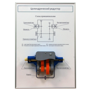 Плакат планшет с демонстрационной моделью «Цилиндрический редуктор» - fgospostavki.ru - Ивантеевка