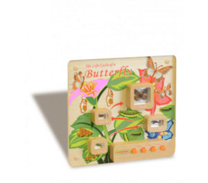 Панель «Жизненный цикл бабочки» - fgospostavki.ru - Ивантеевка