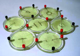 Демонстрационный комплект «Силовые линии электрического поля разных систем зарядов» - fgospostavki.ru - Ивантеевка