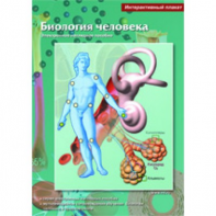 Интерактивные плакаты. Биология человека. Программно-методический комплекс - fgospostavki.ru - Ивантеевка