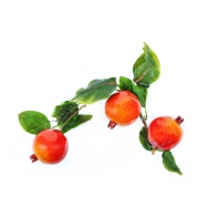 Ветка муляжей "Гранат" - fgospostavki.ru - Ивантеевка