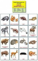 Раздаточные карточки "Дикие животные (1)" - fgospostavki.ru - Ивантеевка
