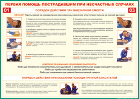 Таблица "Порядок действий при внезапной смерти" (100х140 сантиметров, винил) - fgospostavki.ru - Ивантеевка