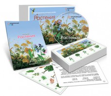 Комбинированное наглядное пособие «Растения» - fgospostavki.ru - Ивантеевка