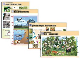 Комплект таблиц по биологии демонстрационных "Общая биология 2" (14 таблиц, формат А1, ламинированные) - fgospostavki.ru - Ивантеевка