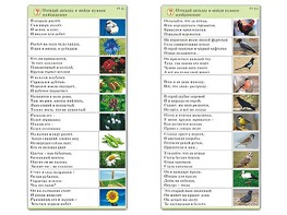 Комплект карточек (10) "Обучающий калейдоскоп. Природа" - fgospostavki.ru - Ивантеевка