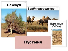 Модель-аппликация "Природные зоны России" (ламинированная) - fgospostavki.ru - Ивантеевка