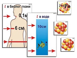 Модель-аппликация "Явление радиоактивности" (ламинированная) - fgospostavki.ru - Ивантеевка