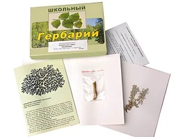 Гербарий "Водоросли. Грибы. Лишайники" (раздаточный) - fgospostavki.ru - Ивантеевка