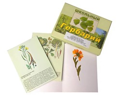 Гербарий "Систематика растений. Семейство Пасленовые. Крестоцветные. Сложноцветные" (раздаточный) - fgospostavki.ru - Ивантеевка