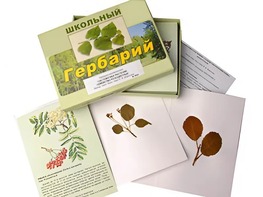 Гербарий "Систематика растений. Семейство Розоцветные" (раздаточный) - fgospostavki.ru - Ивантеевка