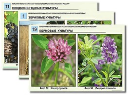 Гербарий фотографический "Сельскохозяйственные растения России" - fgospostavki.ru - Ивантеевка