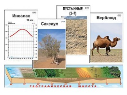 Модель-аппликация "Природные зоны" - fgospostavki.ru - Ивантеевка