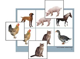 Логопедическое лото "Домашние животные" (4 планшета, 24 карточки, цветное, ламинированное) - fgospostavki.ru - Ивантеевка