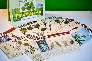 Гербарий к курсу основ общей биологии - fgospostavki.ru - Ивантеевка